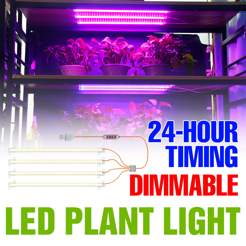 Echeveria Succulent - LED Indoor Plant Light Bar USB