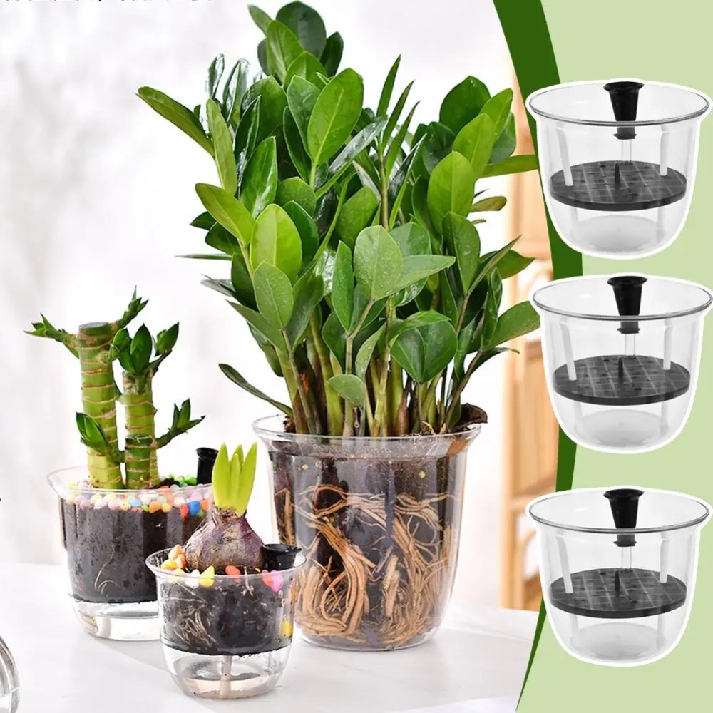 2Pcs Self-Watering Pot, Pots f - đánh giá và giá Aloe Vera Pot