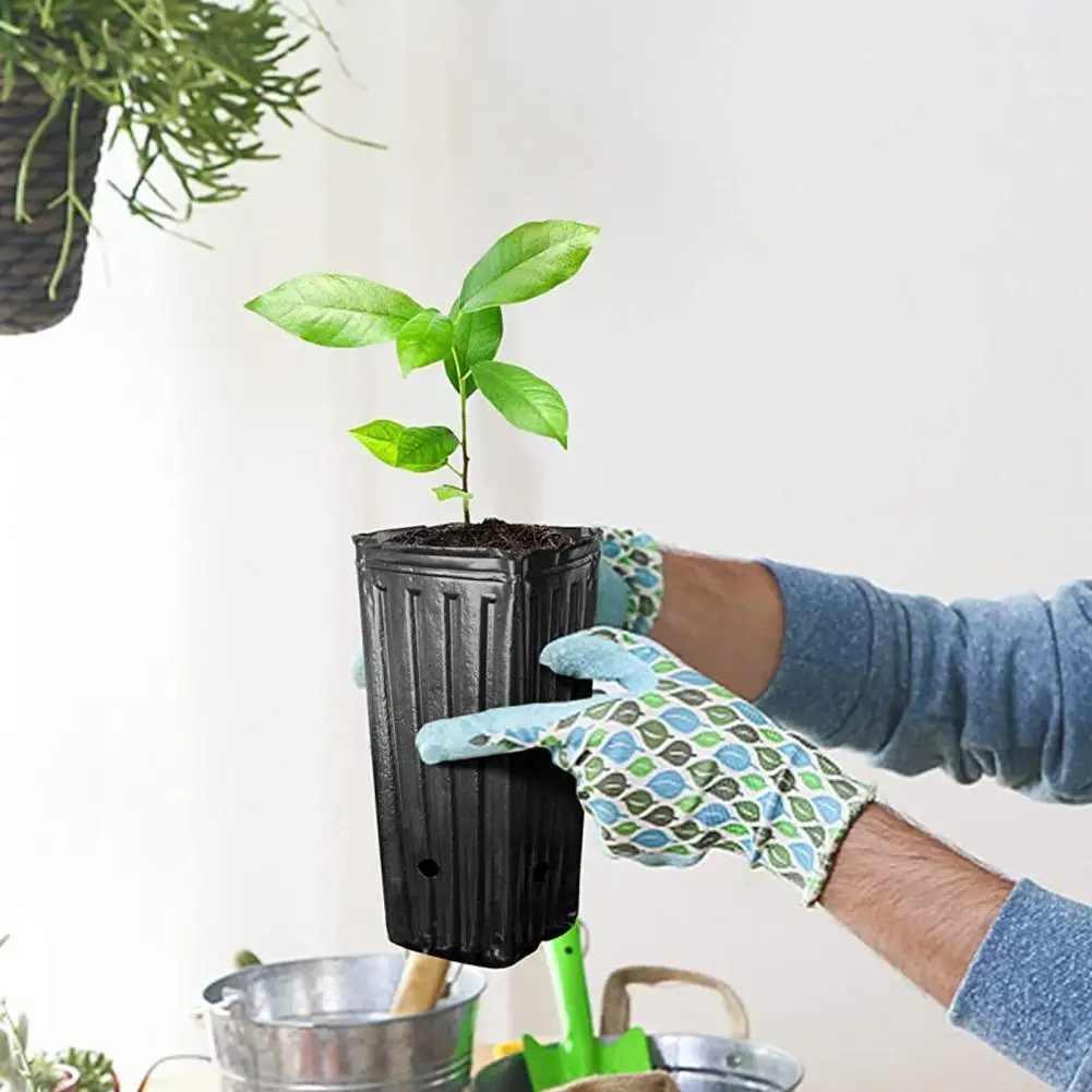10/25Pcs Tree Shoots Pots Plas - đánh giá và giá Aloe Vera Pot