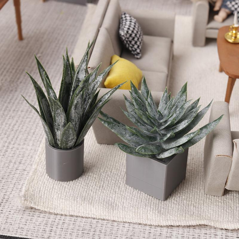 Miniature Aloe Vera Potted Pla - đánh giá và giá Aloe Vera Pot