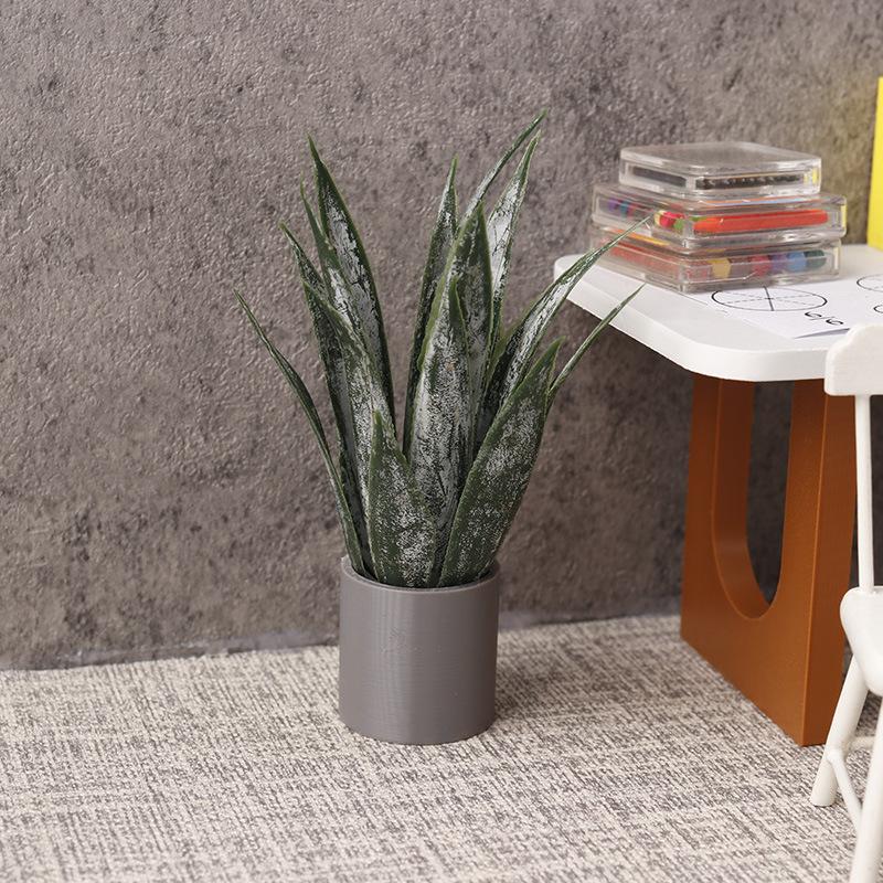 Miniature Aloe Vera Potted Pla - đánh giá và giá Aloe Vera Pot