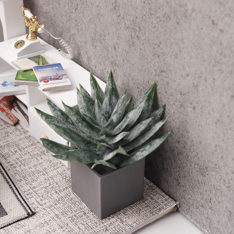 Miniature Aloe Vera Potted Pla - đánh giá và giá Aloe Vera Pot