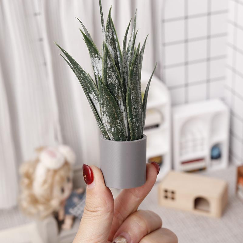 Miniature Aloe Vera Potted Pla - đánh giá và giá Aloe Vera Pot