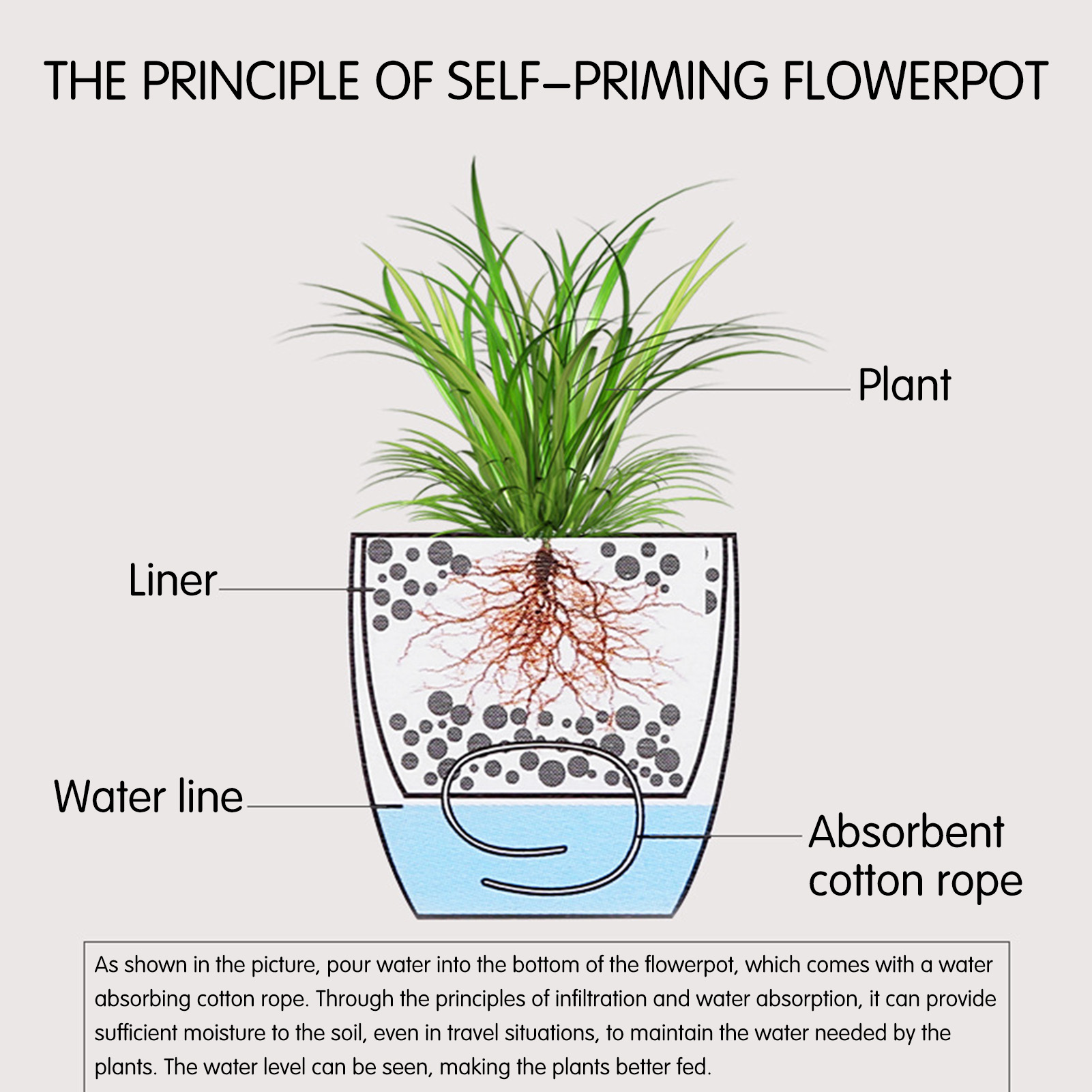 Automatic Self Watering Flower - đánh giá và giá Aloe Vera Pot