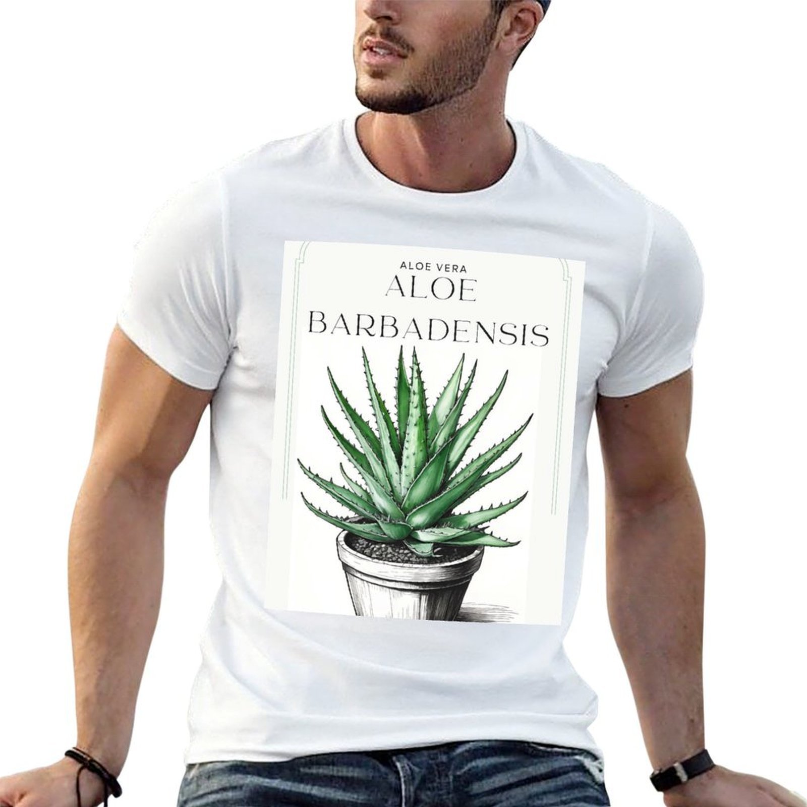 Botanical Aloe Vera in pot rus - đánh giá và giá Aloe Vera Pot