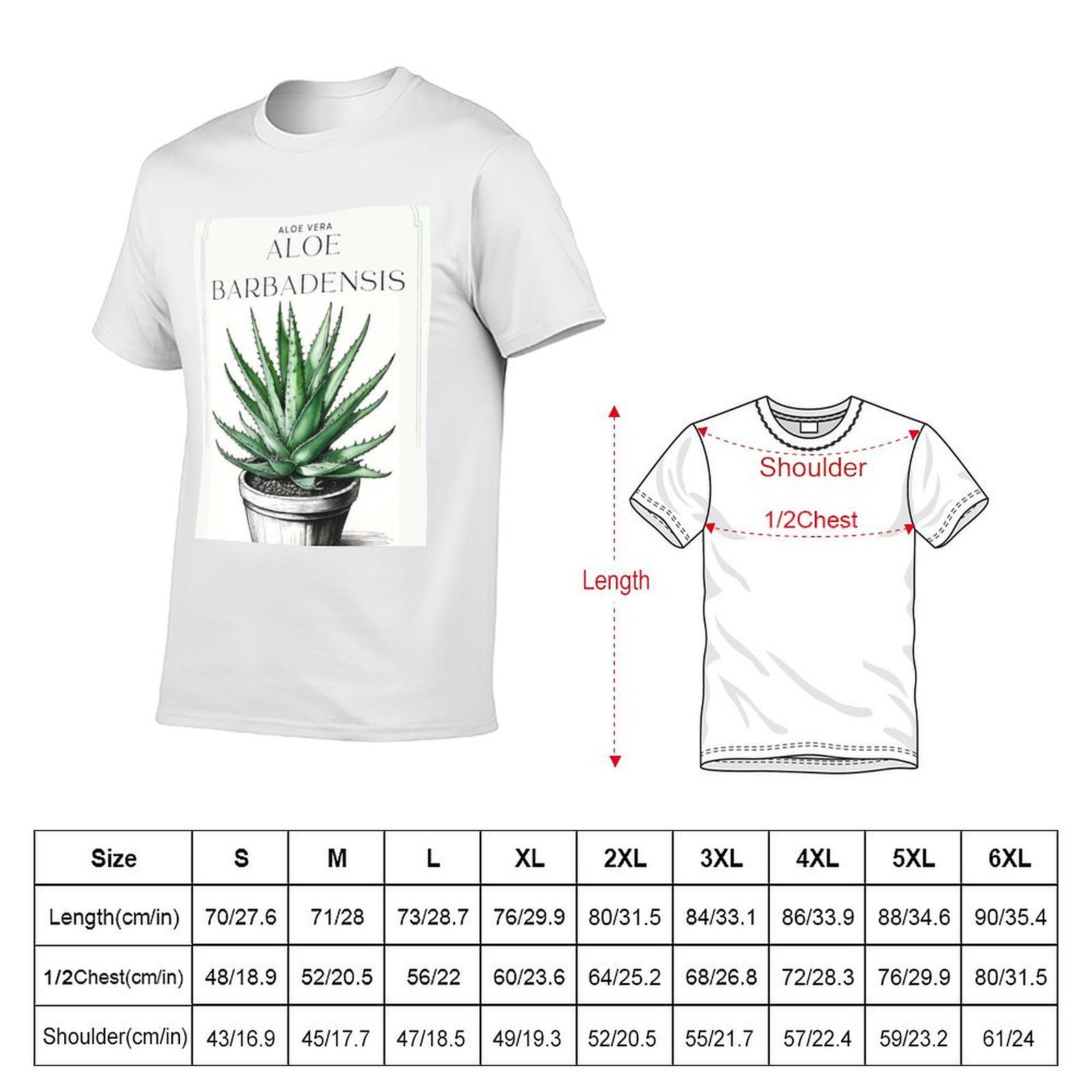 Botanical Aloe Vera in pot rus - đánh giá và giá Aloe Vera Pot