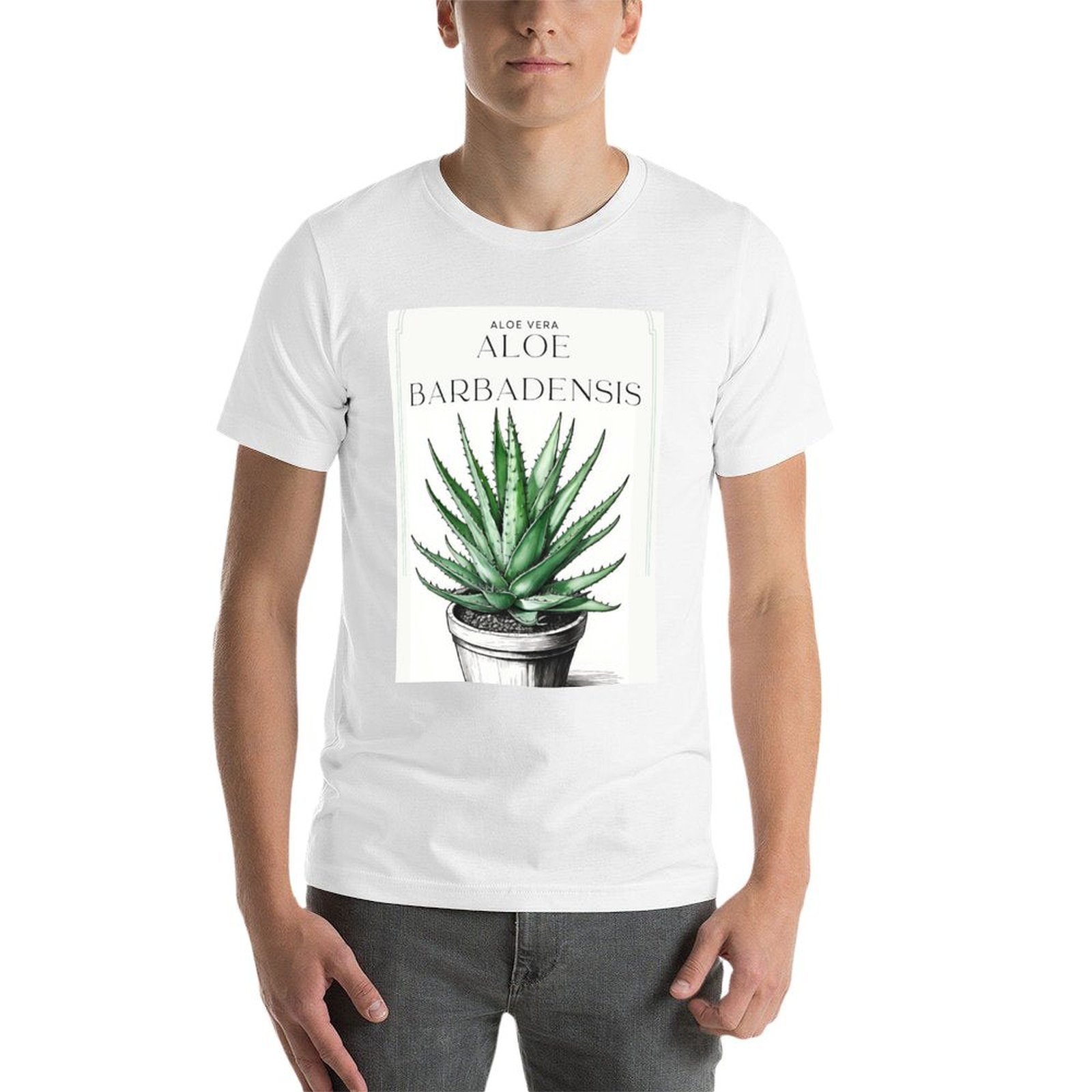 Botanical Aloe Vera in pot rus - đánh giá và giá Aloe Vera Pot