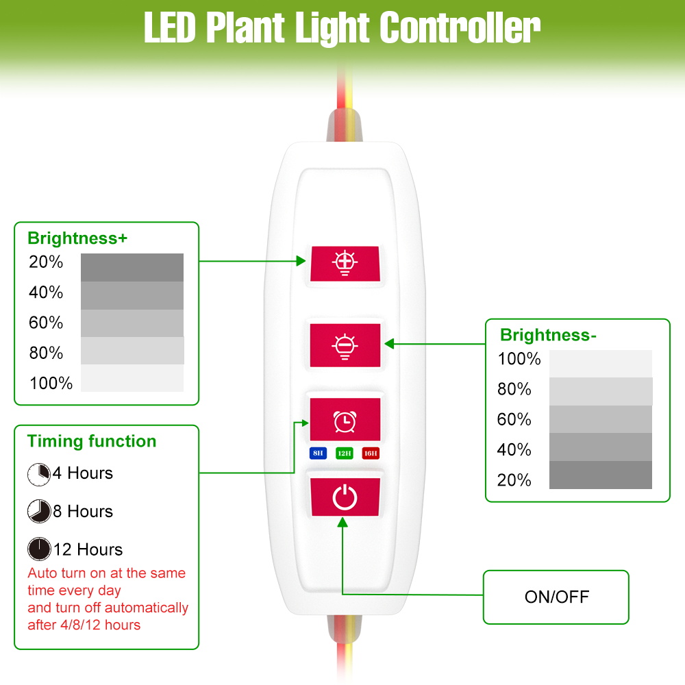 LED Indoor Plant Light Bar USB - đánh giá và giá Echeveria Succulent