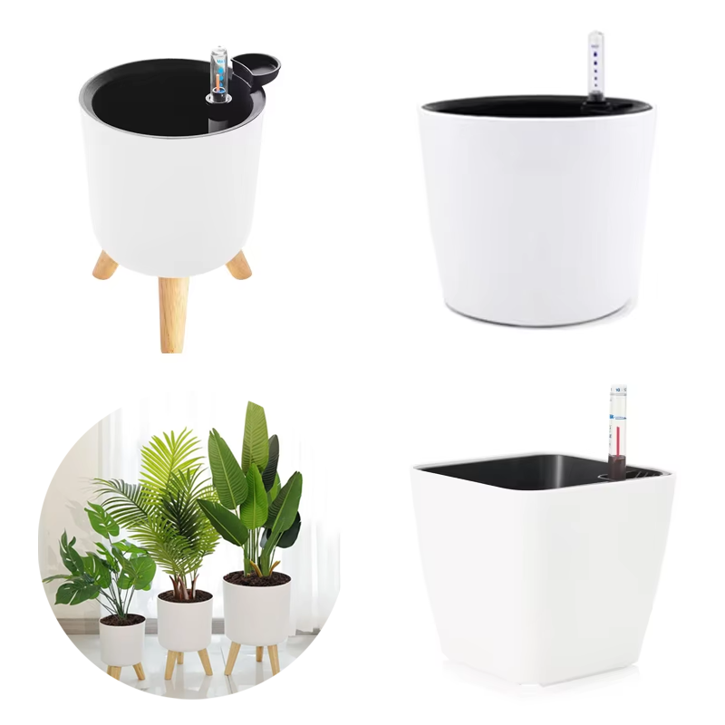 1PC Indoor Plastic Flowerpot S - đánh giá và giá Aloe Vera Pot