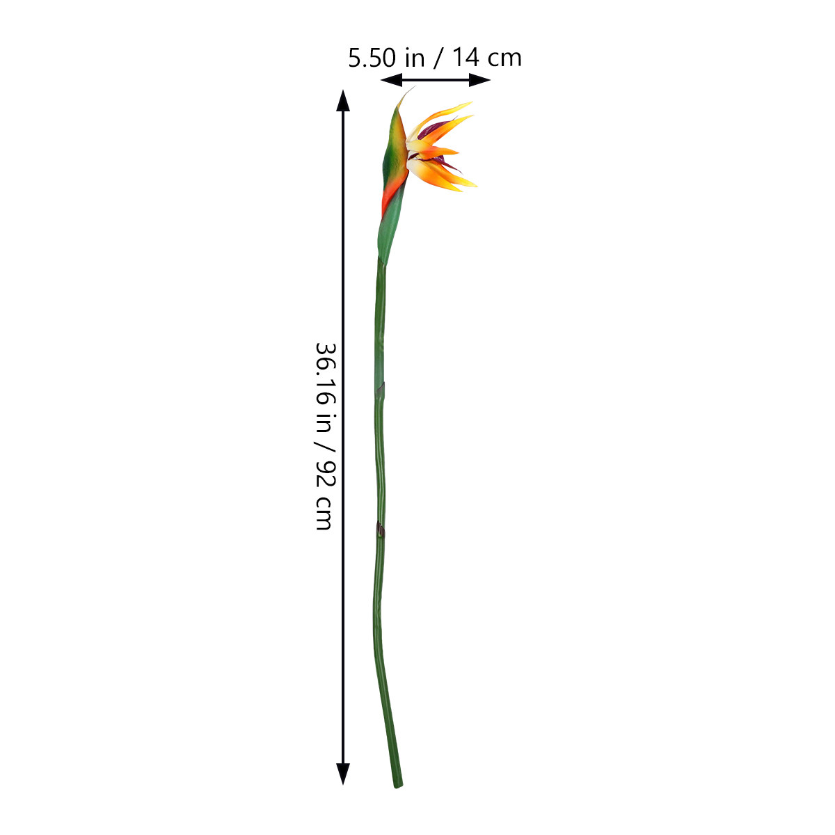 Faux Strelitzia Flower Artific - đánh giá và giá Bird Paradise Strelitzia