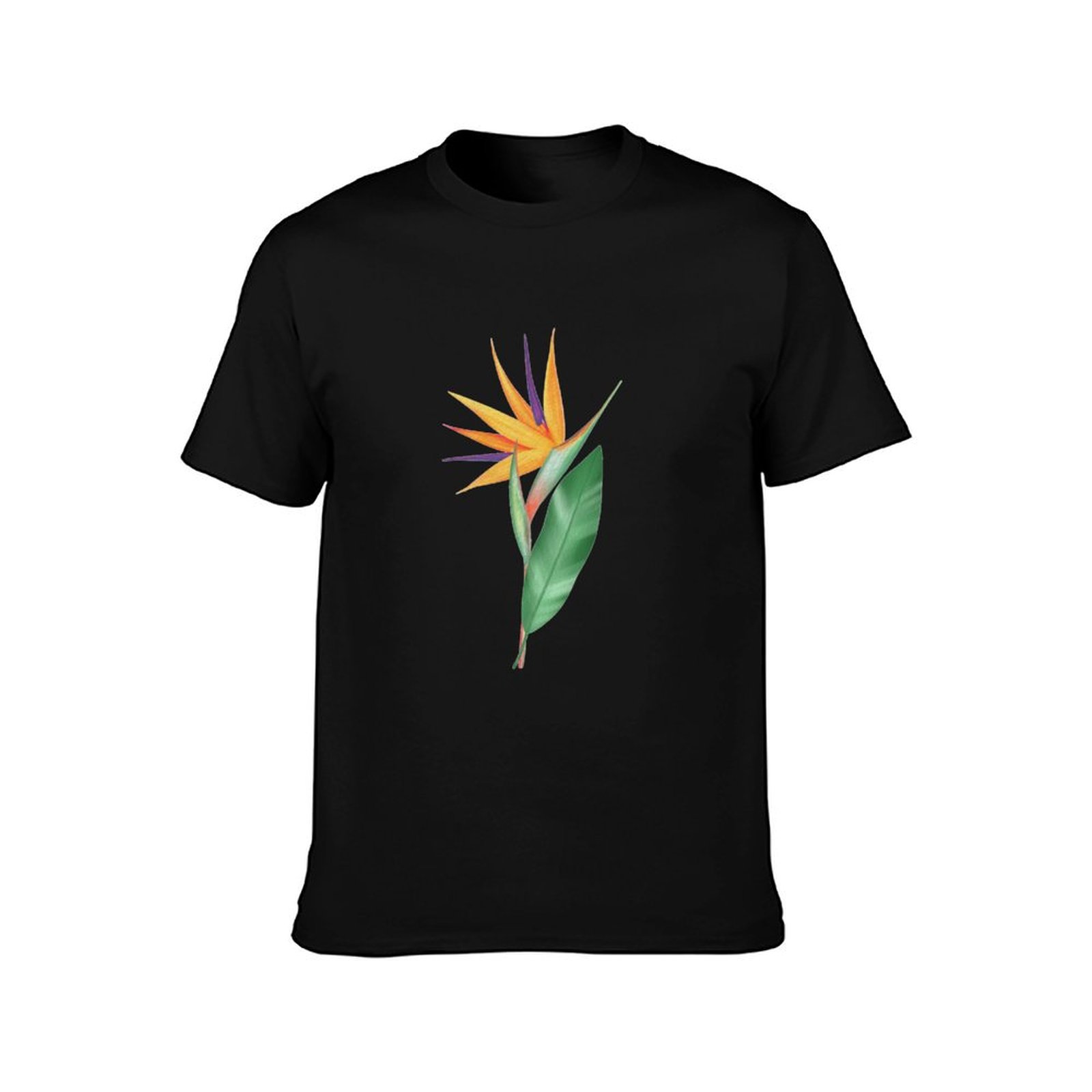 Watercolor bird of paradise fl - đánh giá và giá Bird Paradise Strelitzia