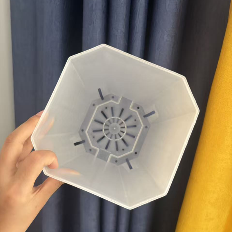 5PCS Transparent Flowerpot 15c - đánh giá và giá Echeveria Succulent