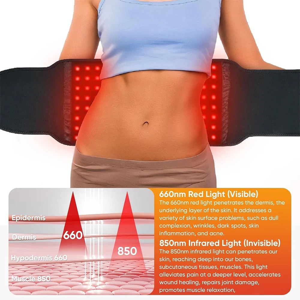 LED Red Light Belt 850nm and 6 - đánh giá và giá Aglaonema Red