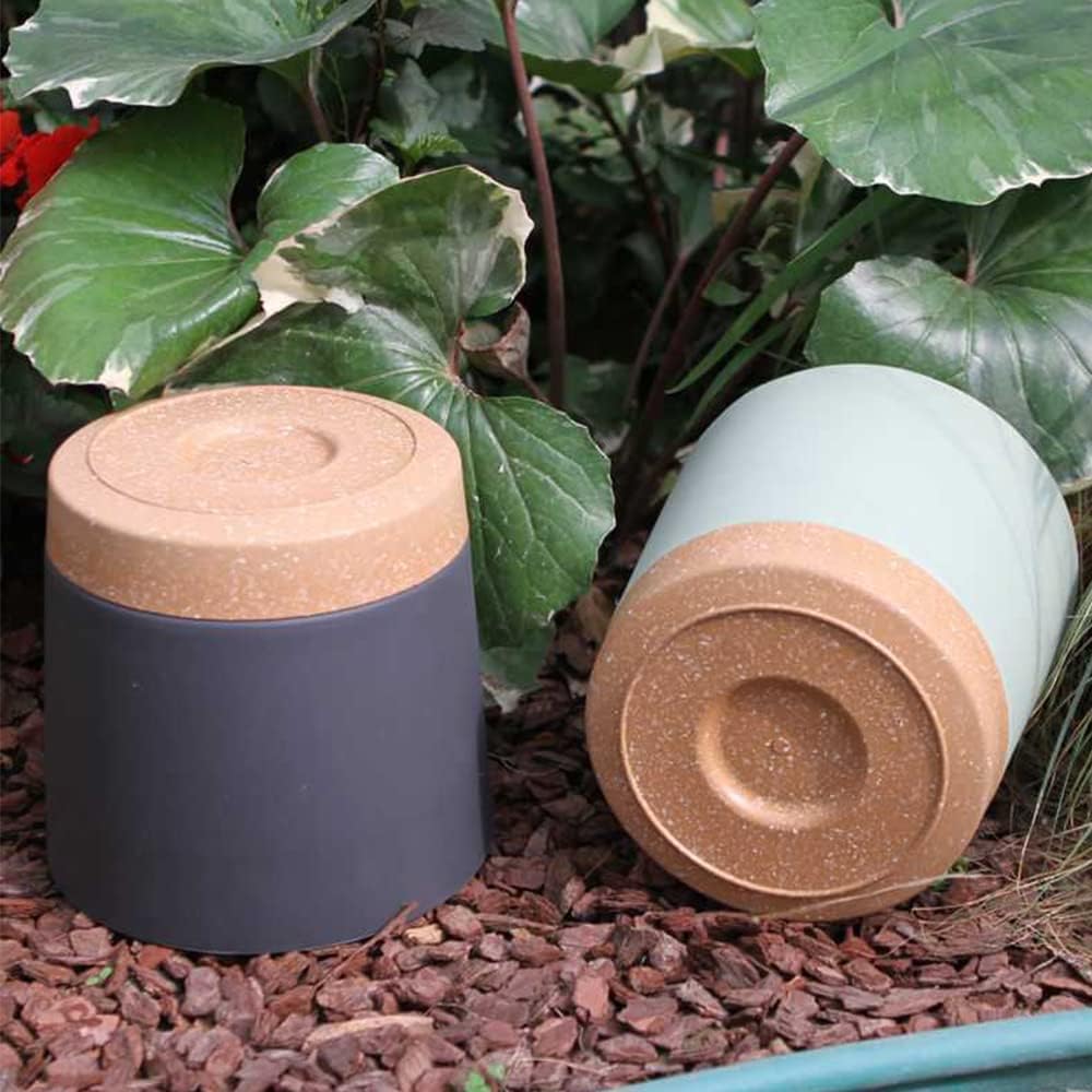 Plant POTS, lightweight Large  - đánh giá và giá Aloe Vera Pot