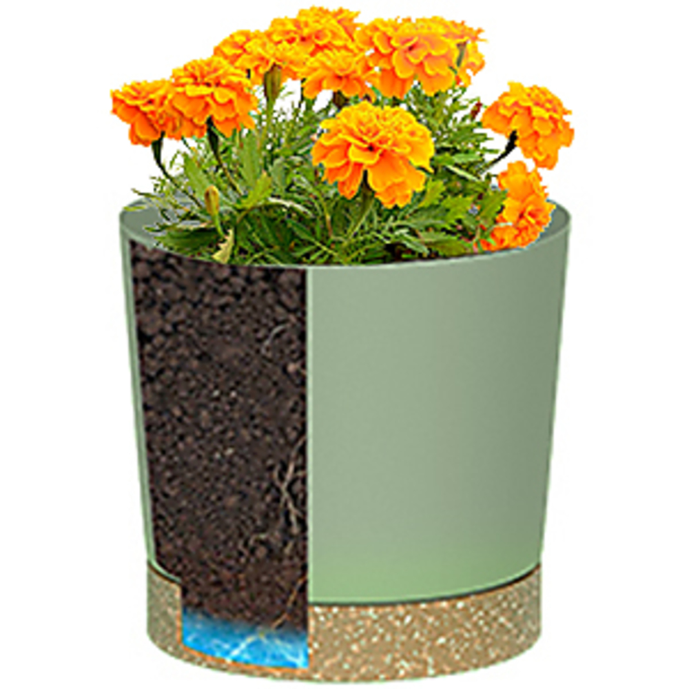 Plant POTS, lightweight Large  - đánh giá và giá Aloe Vera Pot