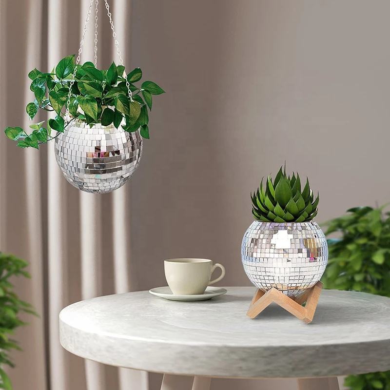 Disco Mirror Ball Hanging Flow - đánh giá và giá Echeveria Succulent