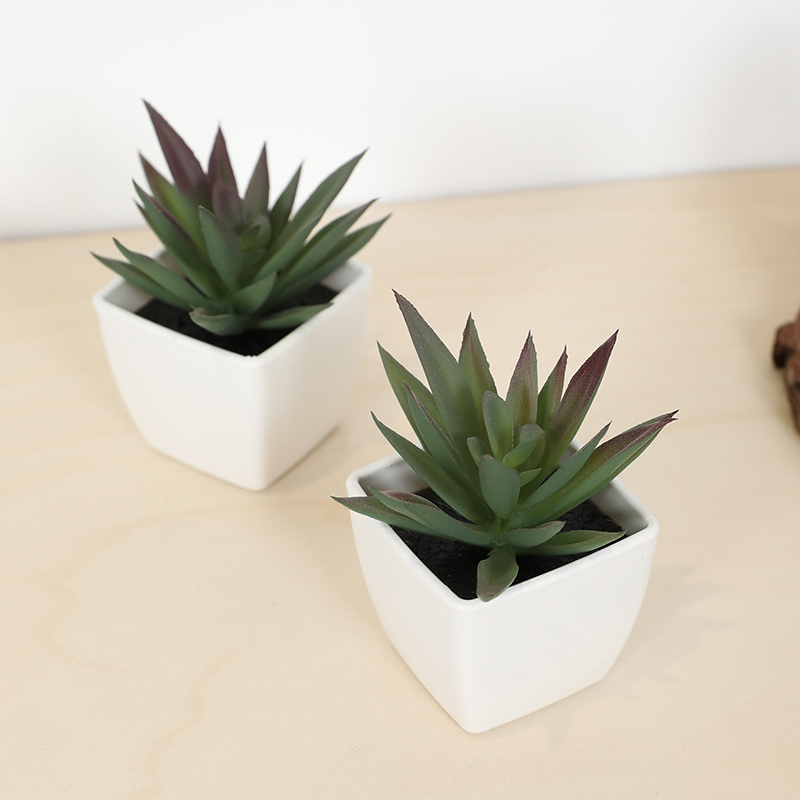 Mini Artificial Succulent Fair - đánh giá và giá Echeveria Succulent