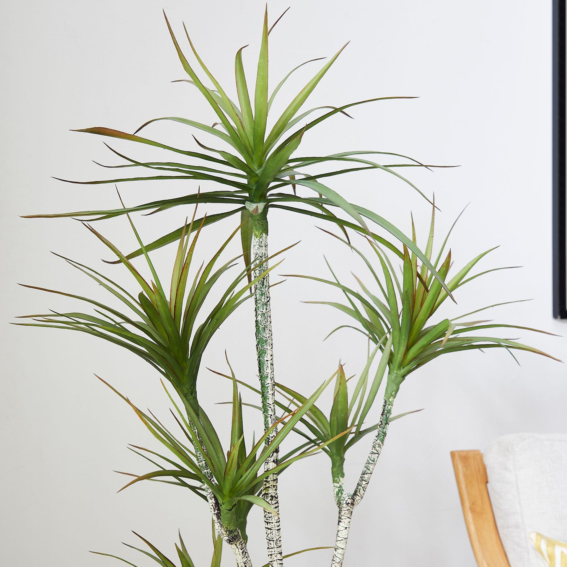 Artificial Plastic Potted ​Pla - đánh giá và giá Dracaena Marginata