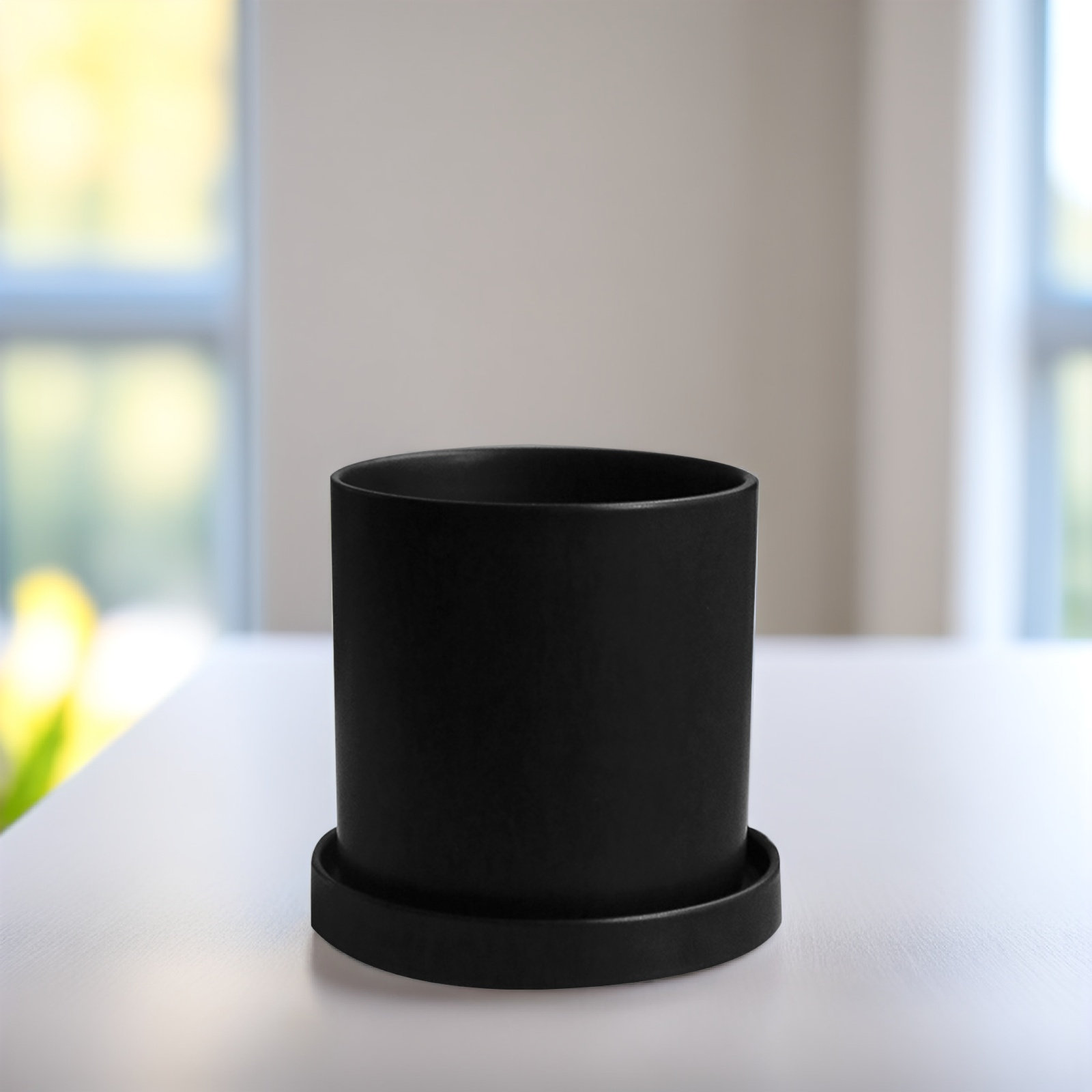 1Set Stylish Ceramic Pots with - đánh giá và giá Aloe Vera Pot
