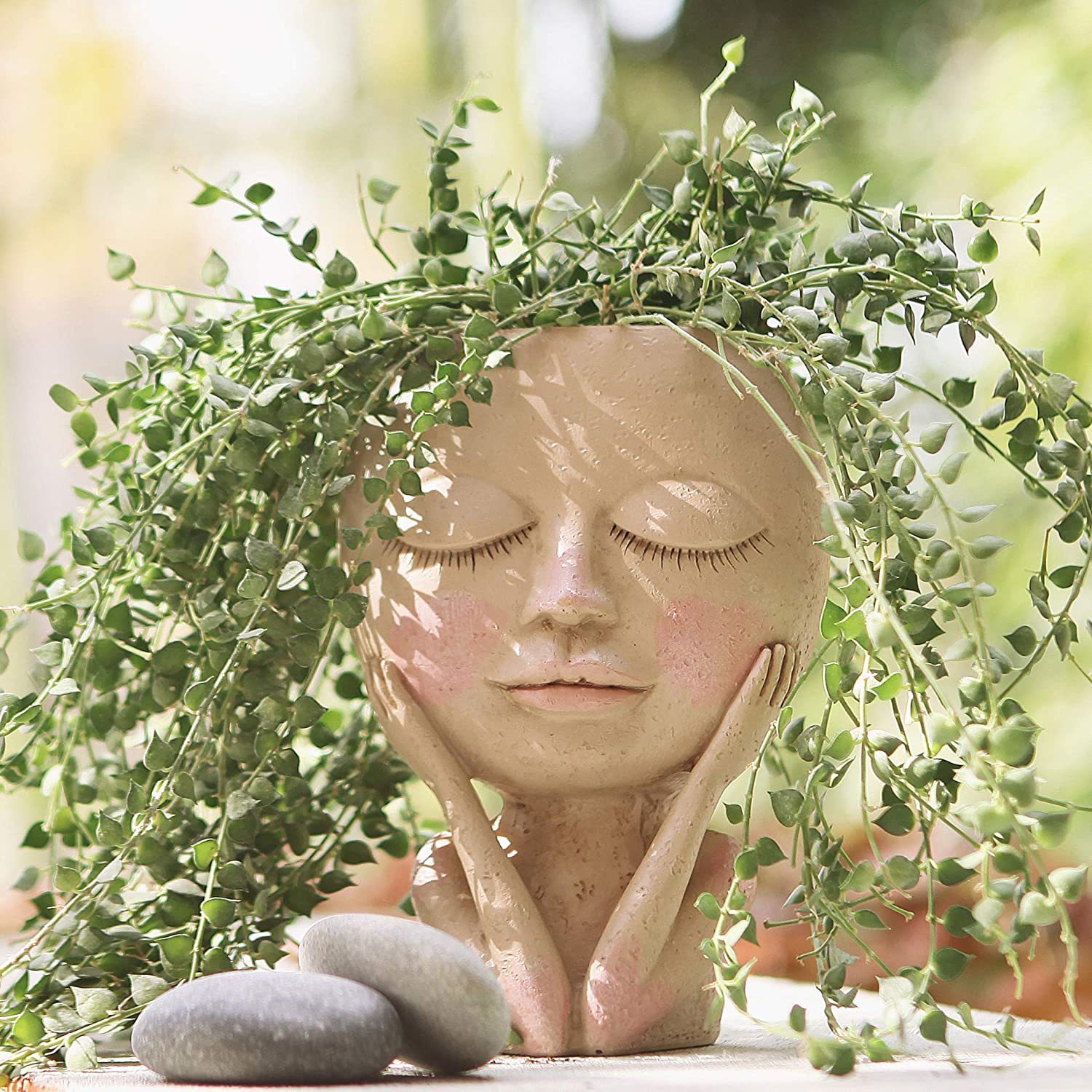 2022 Bé Gái Mặt Đầu Hoa Dụng C - đánh giá và giá Echeveria Succulent
