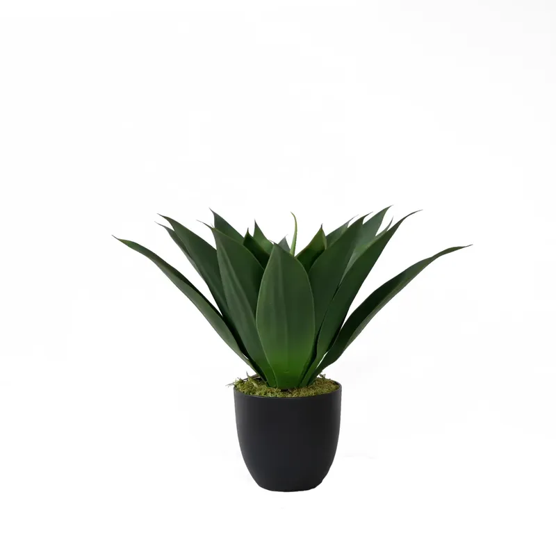 Artificial Potted Aloe Vera Pl - đánh giá và giá Aloe Vera Pot